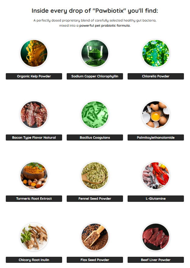 PawBiotix Reviews: Clinically Informed Review of Ingredients, Dosage & Effectiveness
