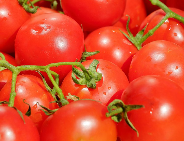 regenerative agriculture improves digestion