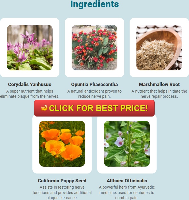 Calm Pro 5 Clinical Review: Is Nerve Calm Scam or Legit? Medical Analysis